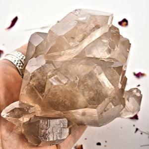 Incredible Large Elestial DT Rutilated Smoky Quartz Cluster With Hematite Inclusions From Brazil - Earth Family Crystals