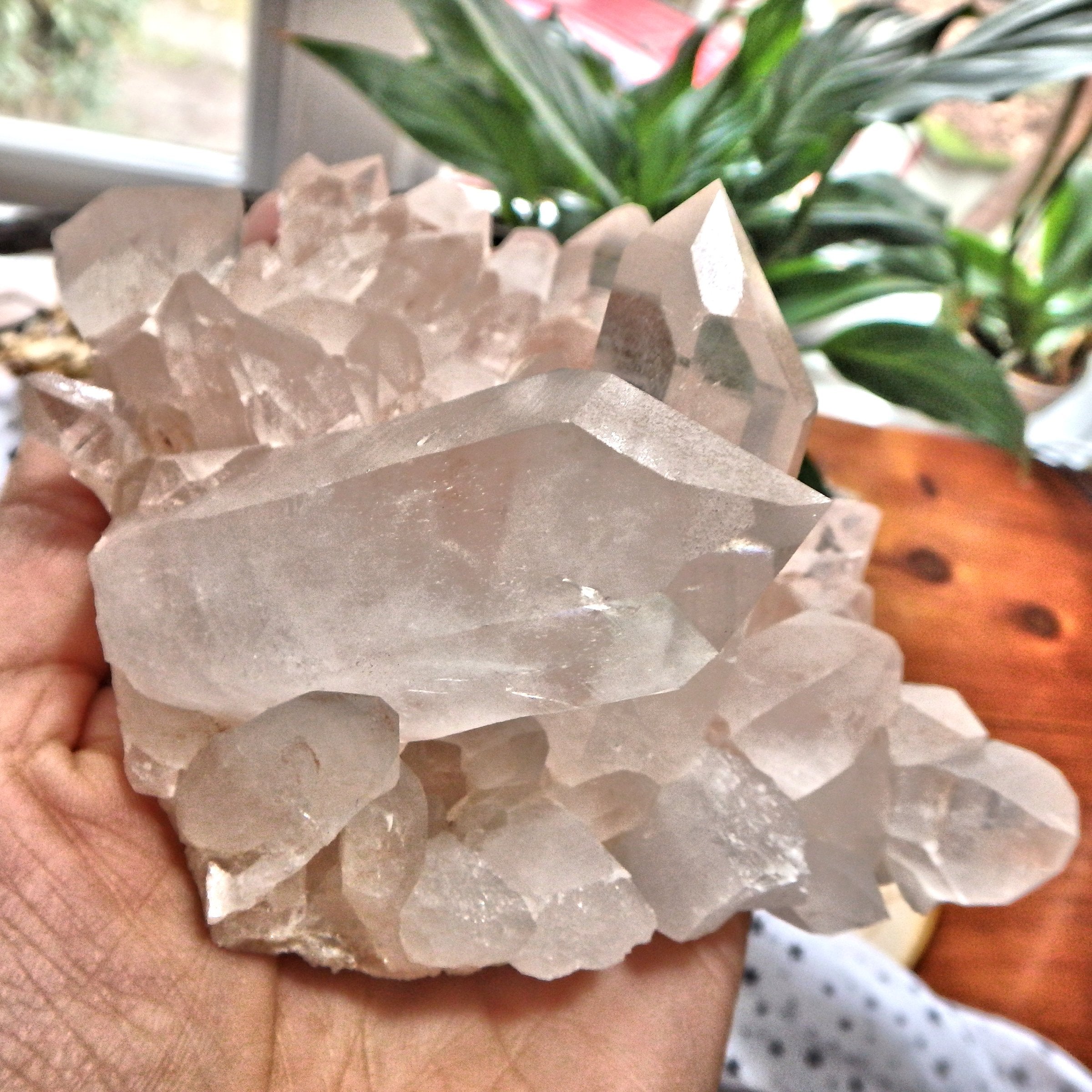 XL Incredible Pink Samadhi Himalayan Quartz Display Specimen - Earth Family Crystals