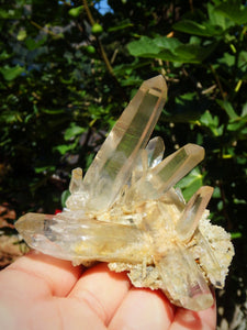Incredible Phantom Included Points Samadhi Himalayan Quartz Specimen From India