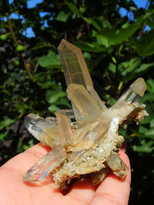 Incredible Phantom Included Points Samadhi Himalayan Quartz Specimen From India