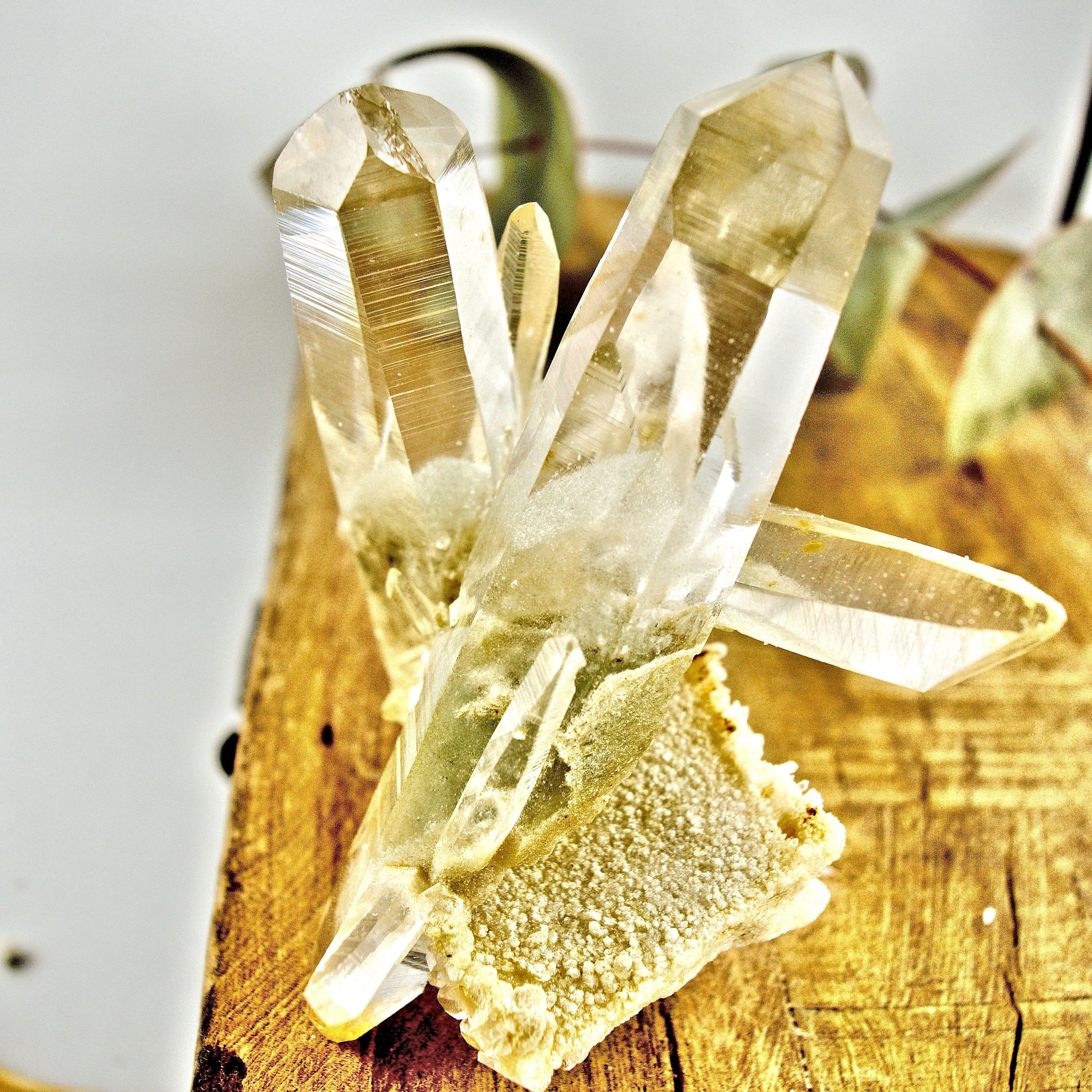 AA Grade Fabulous Phantom Included Green Samadhi Quartz DT Elestial Cluster From The Himalayas - Earth Family Crystals