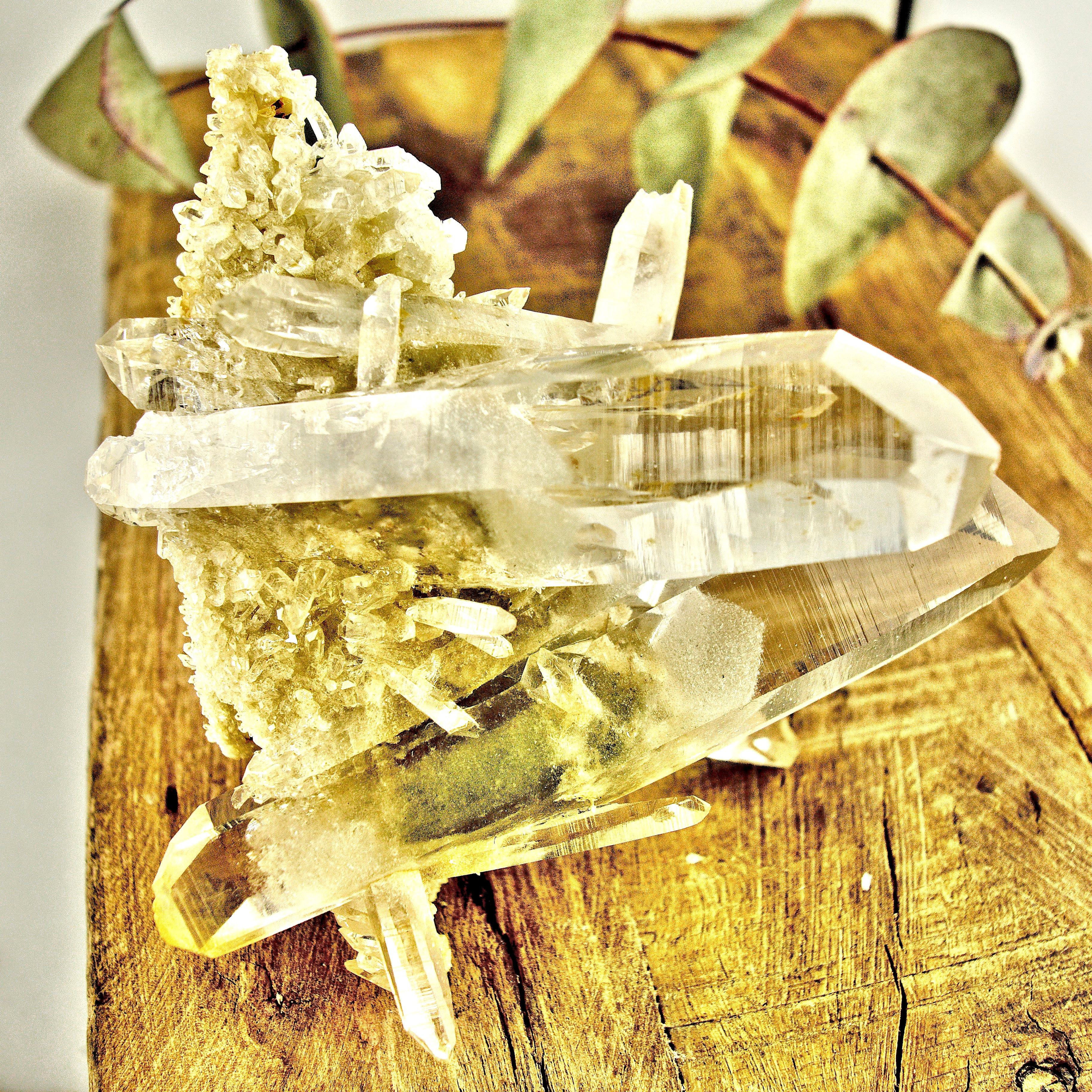 AA Grade Fabulous Phantom Included Green Samadhi Quartz DT Elestial Cluster From The Himalayas - Earth Family Crystals