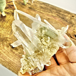 AA Grade Fabulous Phantom Included Green Samadhi Quartz DT Elestial Cluster From The Himalayas - Earth Family Crystals