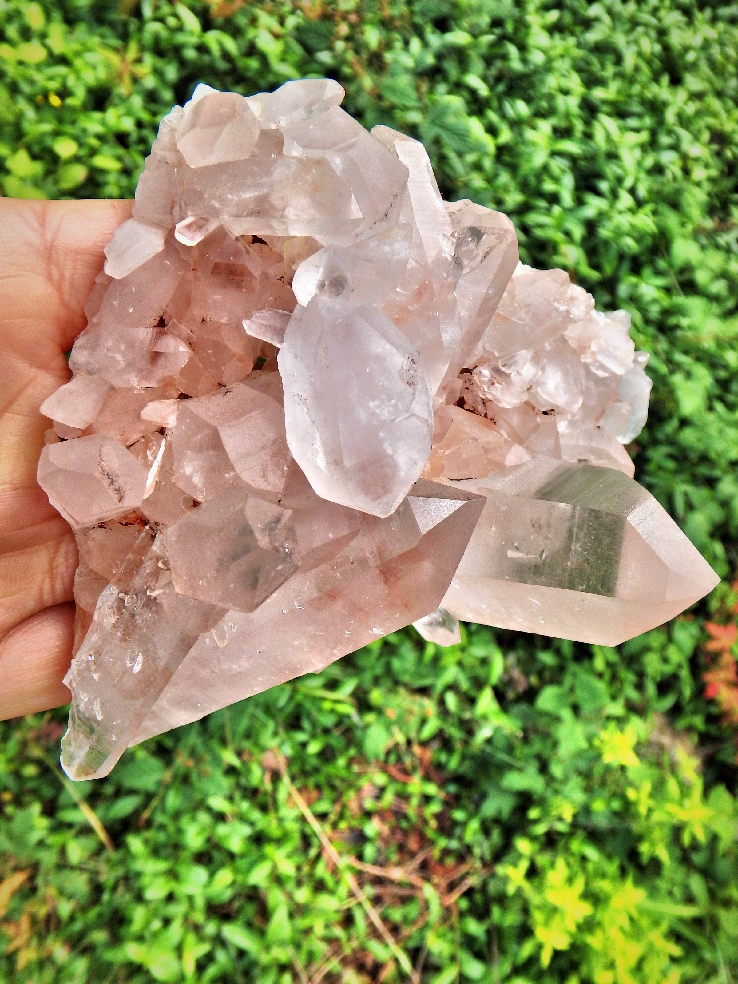 Exquisite Large Pink Samadhi Himalayan Quartz Cluster With Tabular DT Points - Earth Family Crystals