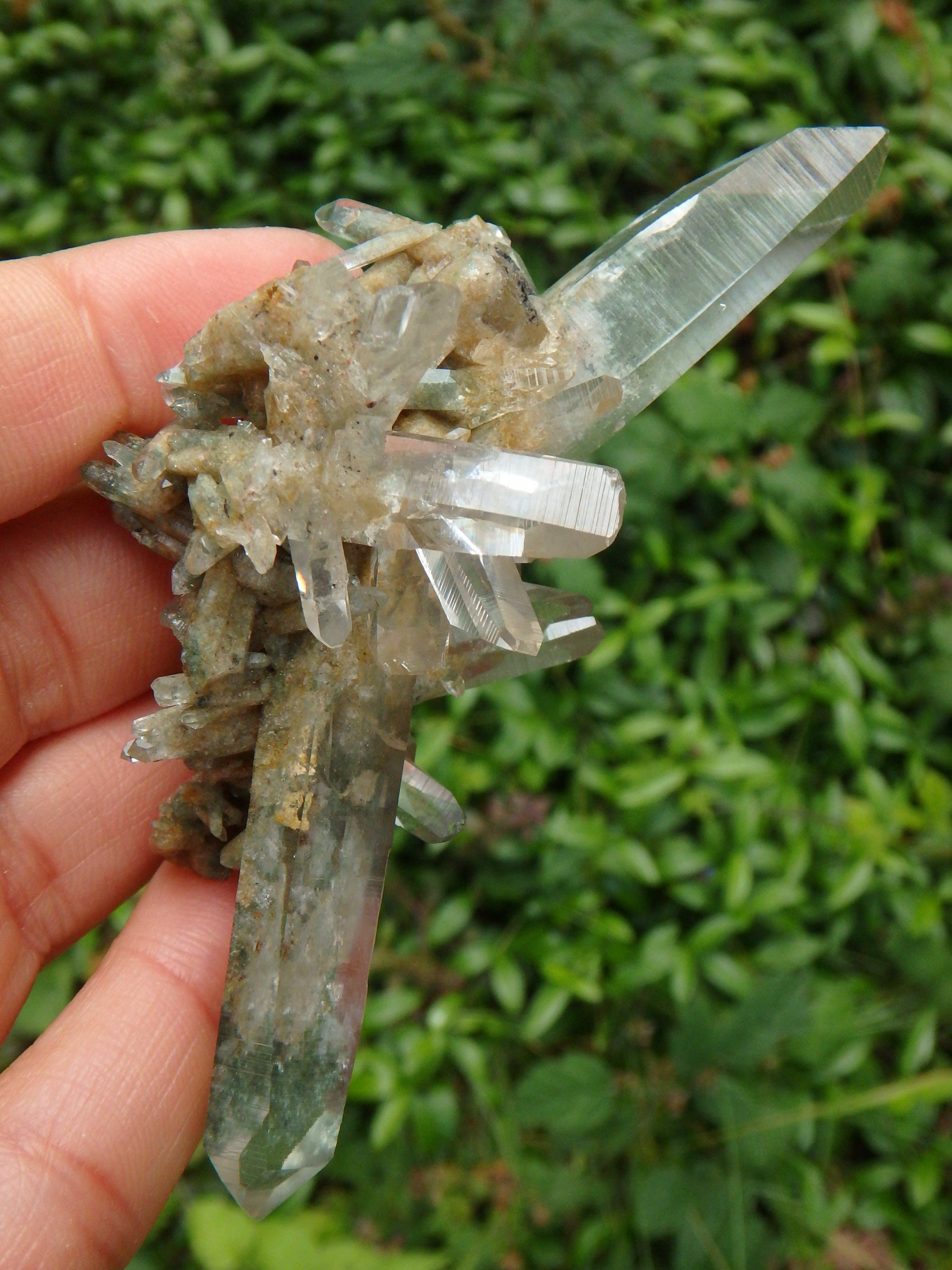 Absolutely Amazing Green Samadhi Himalayan Quartz DT Points Cluster - Earth Family Crystals