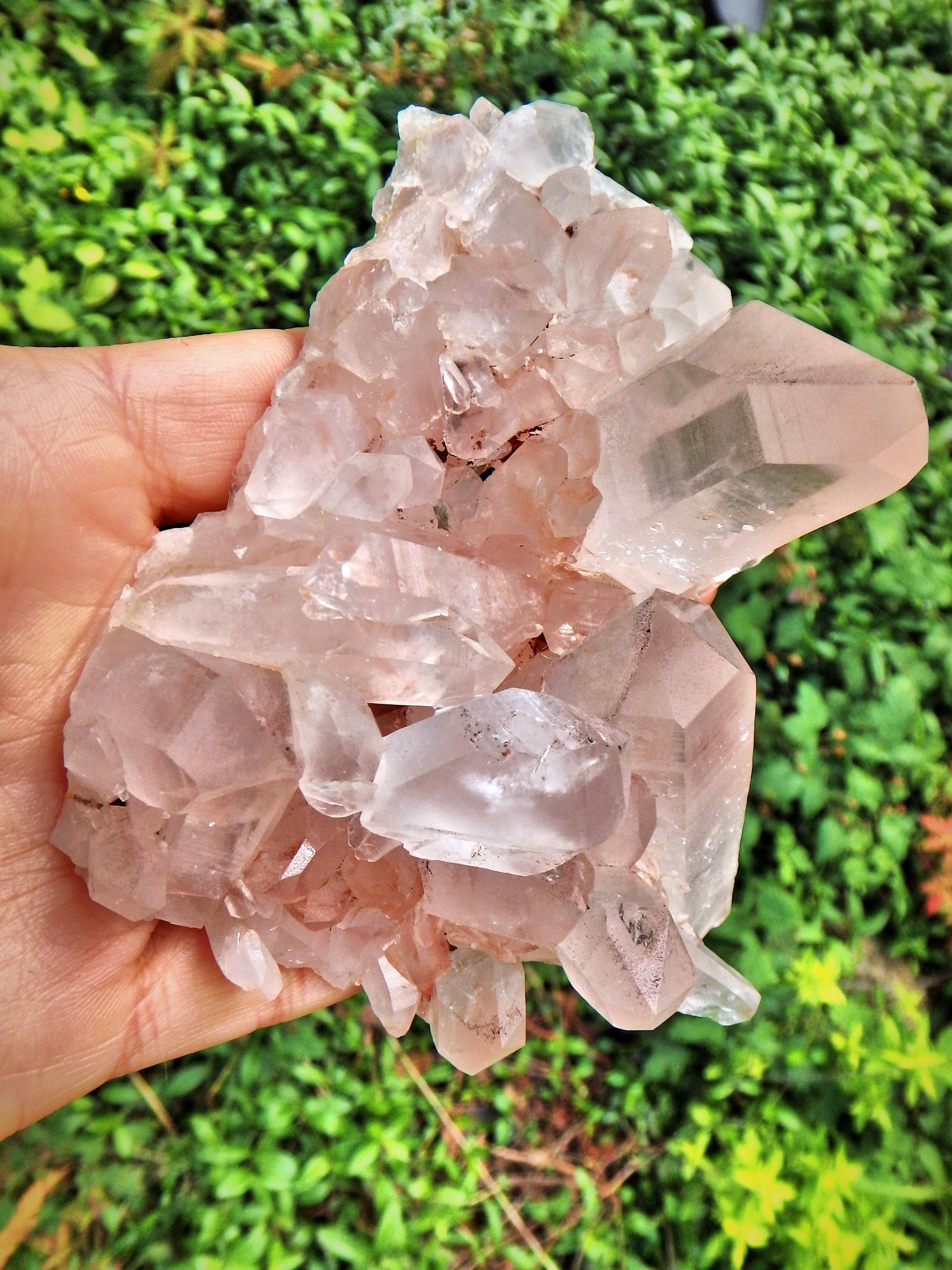 Exquisite Large Pink Samadhi Himalayan Quartz Cluster With Tabular DT Points - Earth Family Crystals