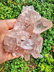 Exquisite Large Pink Samadhi Himalayan Quartz Cluster With Tabular DT Points - Earth Family Crystals