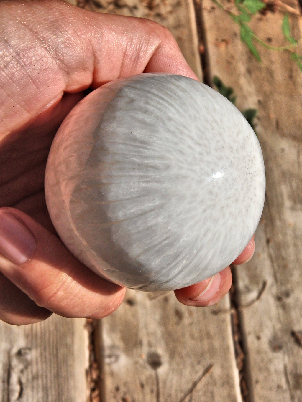 Blooming Silky White Flower Pattern Scolecite Sphere Carving - Earth Family Crystals