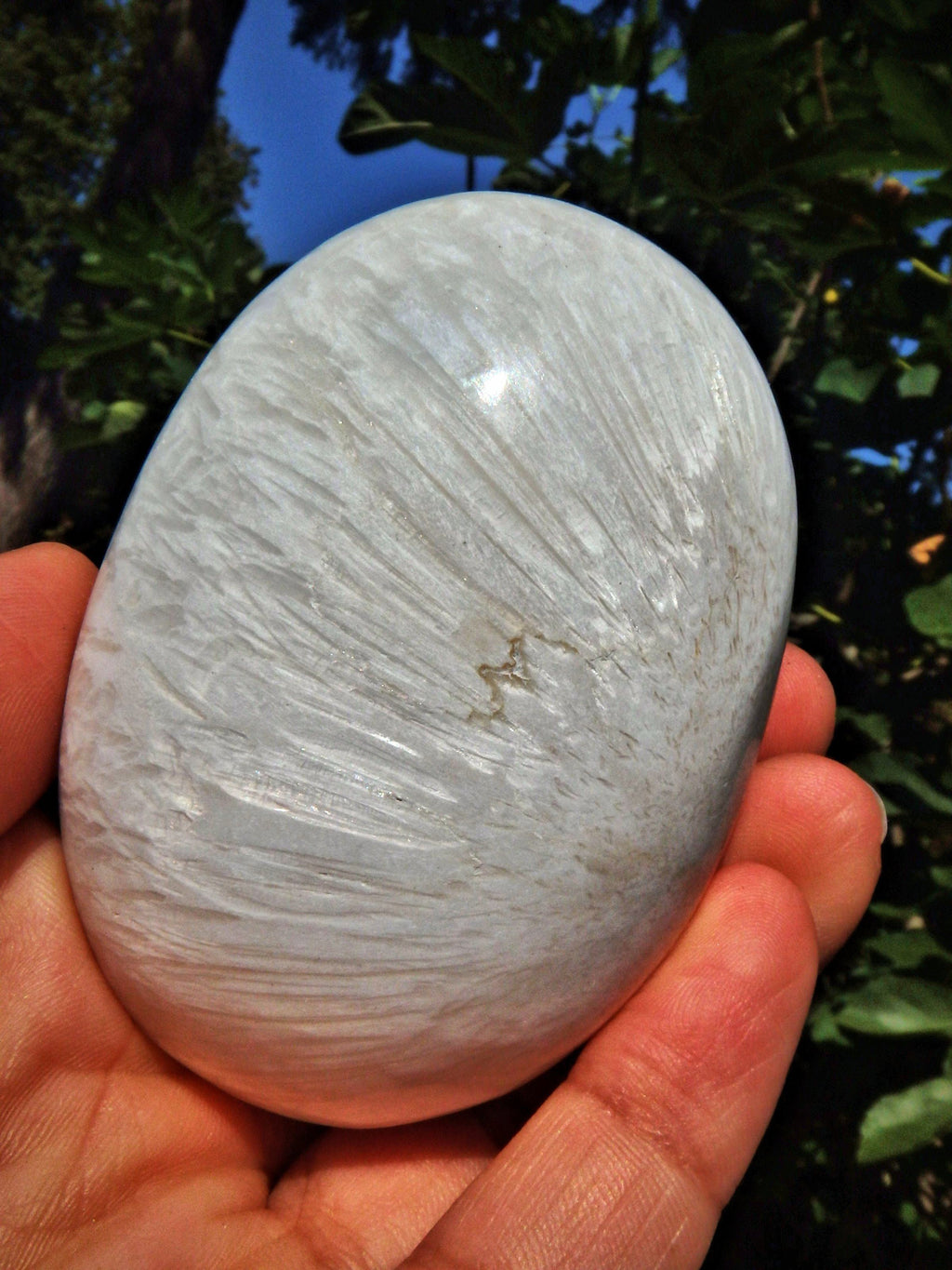 Blooming Flower Pattern Scolecite Polished Specimen 1 - Earth Family Crystals