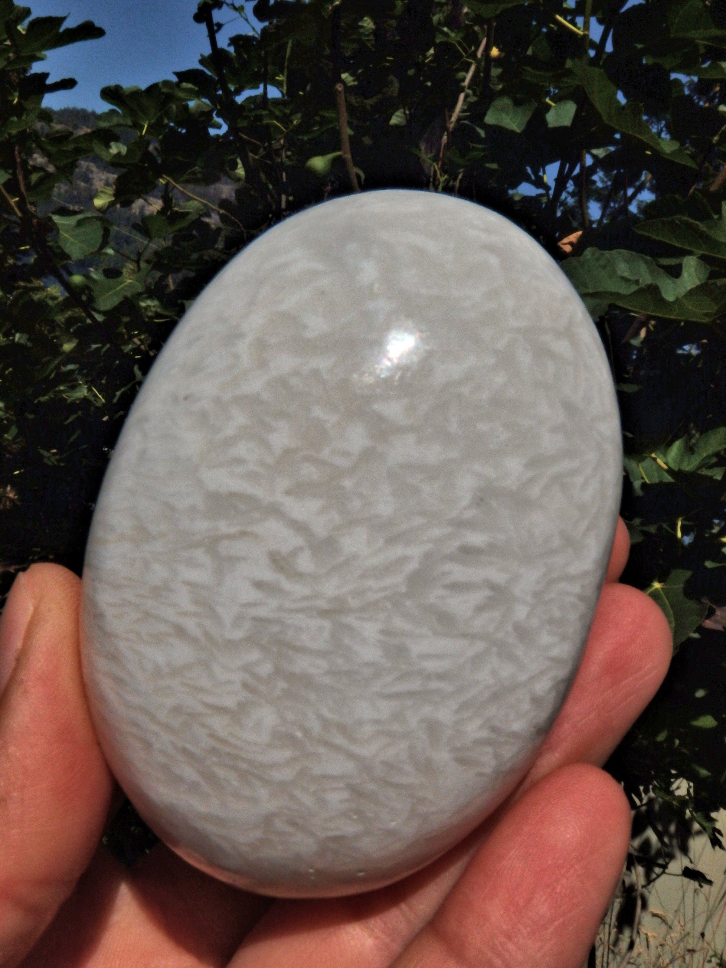 Blooming Flower Pattern Scolecite Polished Specimen 1 - Earth Family Crystals