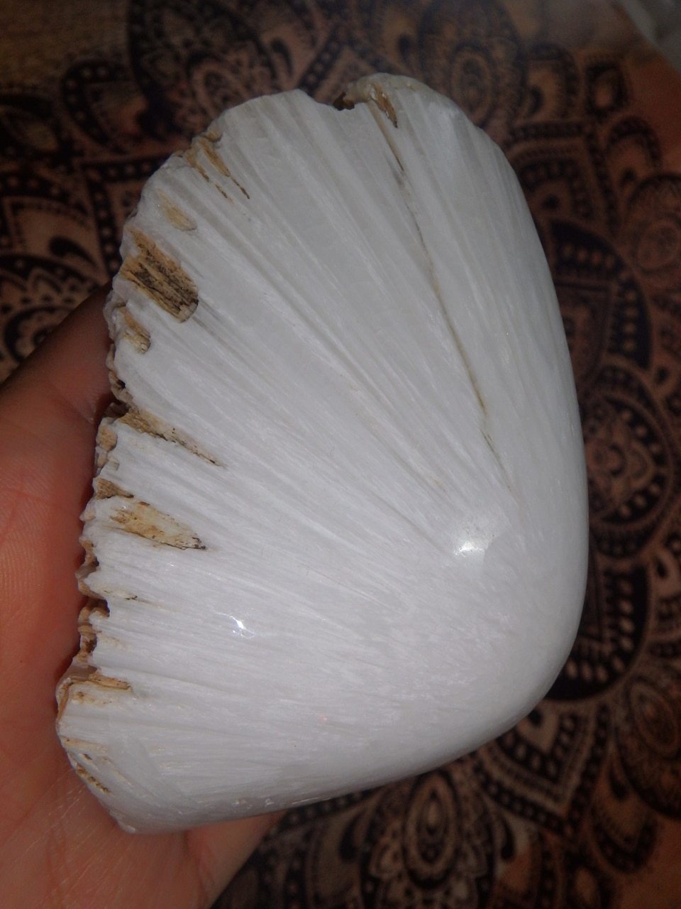 Fabulous Large Scolecite Partially Polished Dome Specimen - Earth Family Crystals