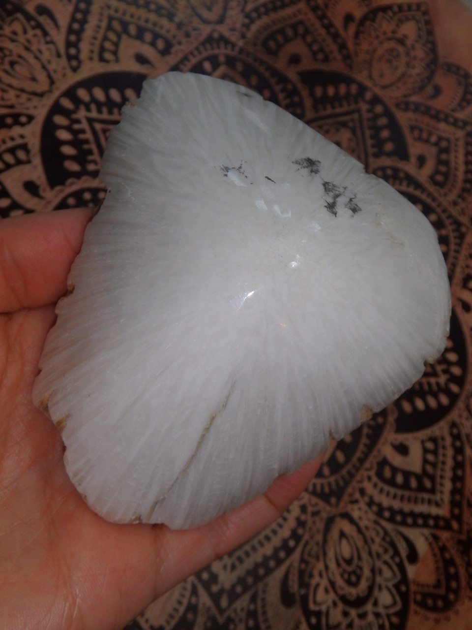 Fabulous Large Scolecite Partially Polished Dome Specimen - Earth Family Crystals