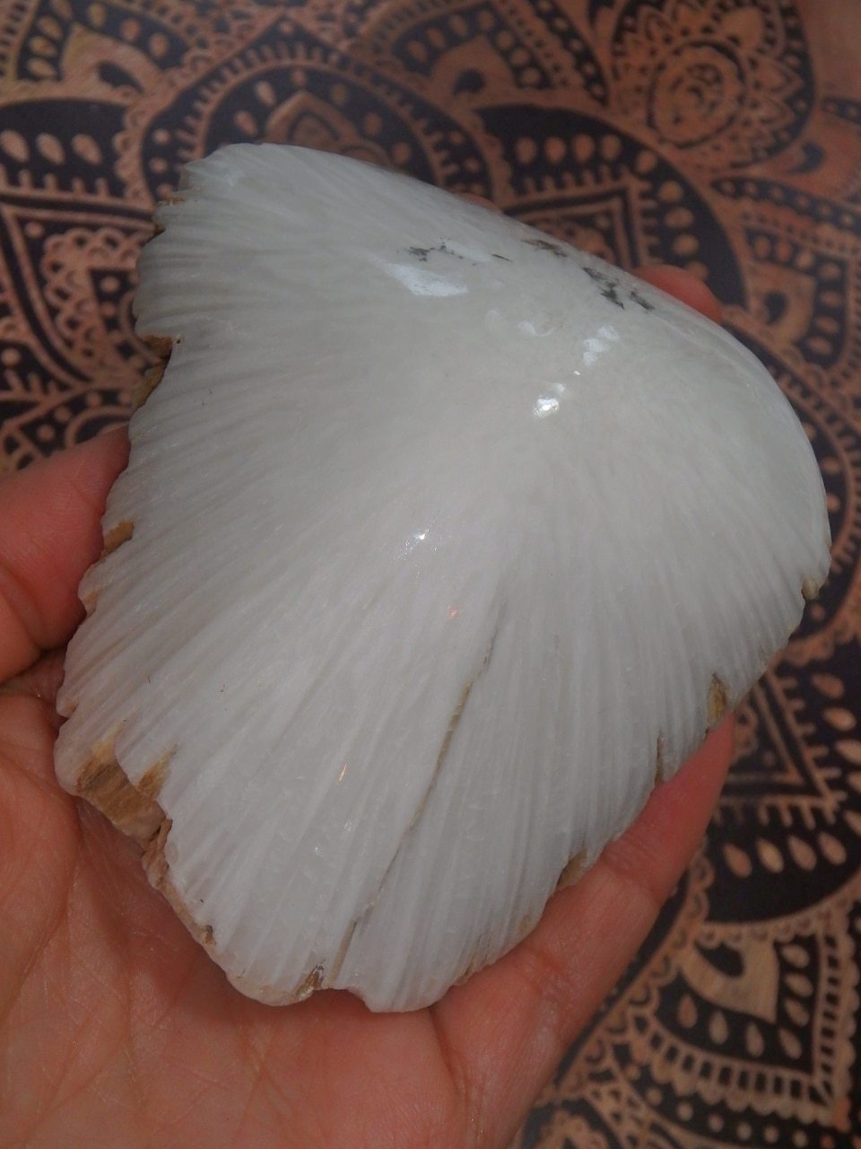 Fabulous Large Scolecite Partially Polished Dome Specimen - Earth Family Crystals