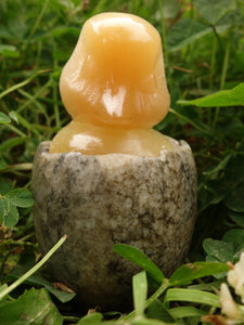 Adorable Orange Selenite Hatching Chick on Rock Egg Bowl (Perfect to Store Small Crystals in) - Earth Family Crystals