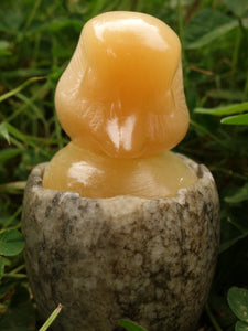 Adorable Orange Selenite Hatching Chick on Rock Egg Bowl (Perfect to Store Small Crystals in) - Earth Family Crystals