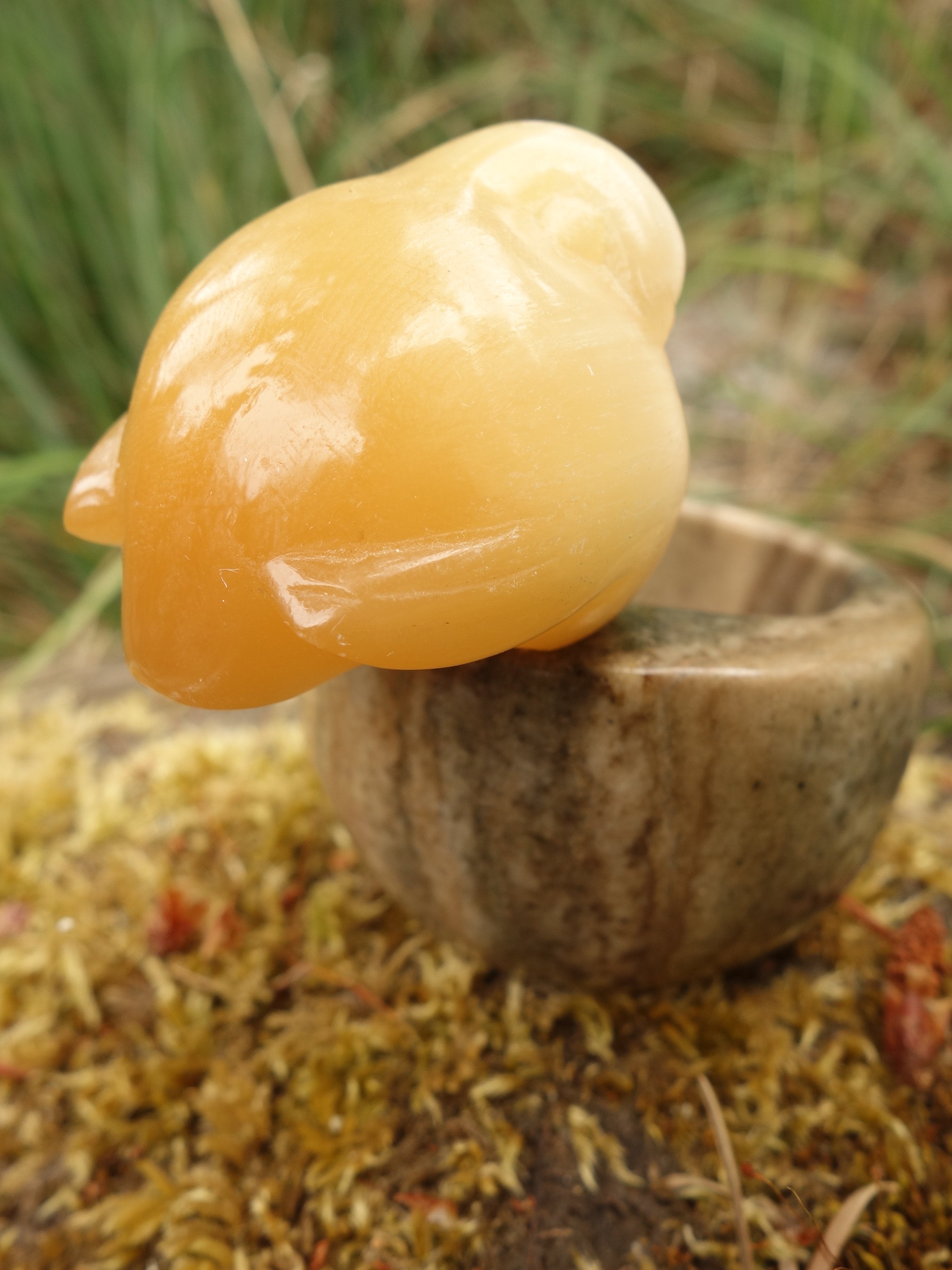 Vintage Orange Selenite Bird Perched on Stone Carved Bowl (Perfect to Store small Stones) - Earth Family Crystals