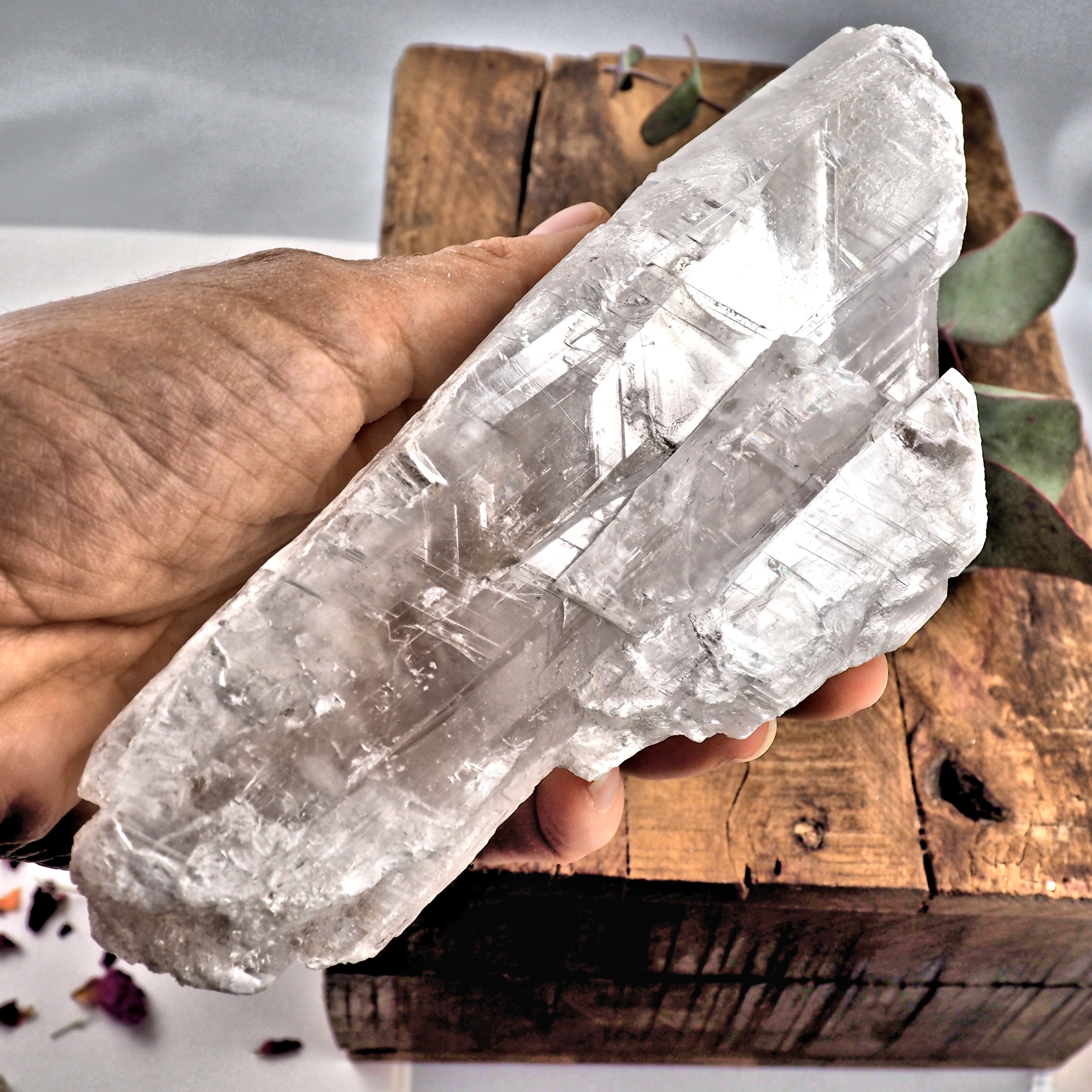 XL Chunky Optical Selenite Satin Spar Raw Specimen From Mexico - Earth Family Crystals