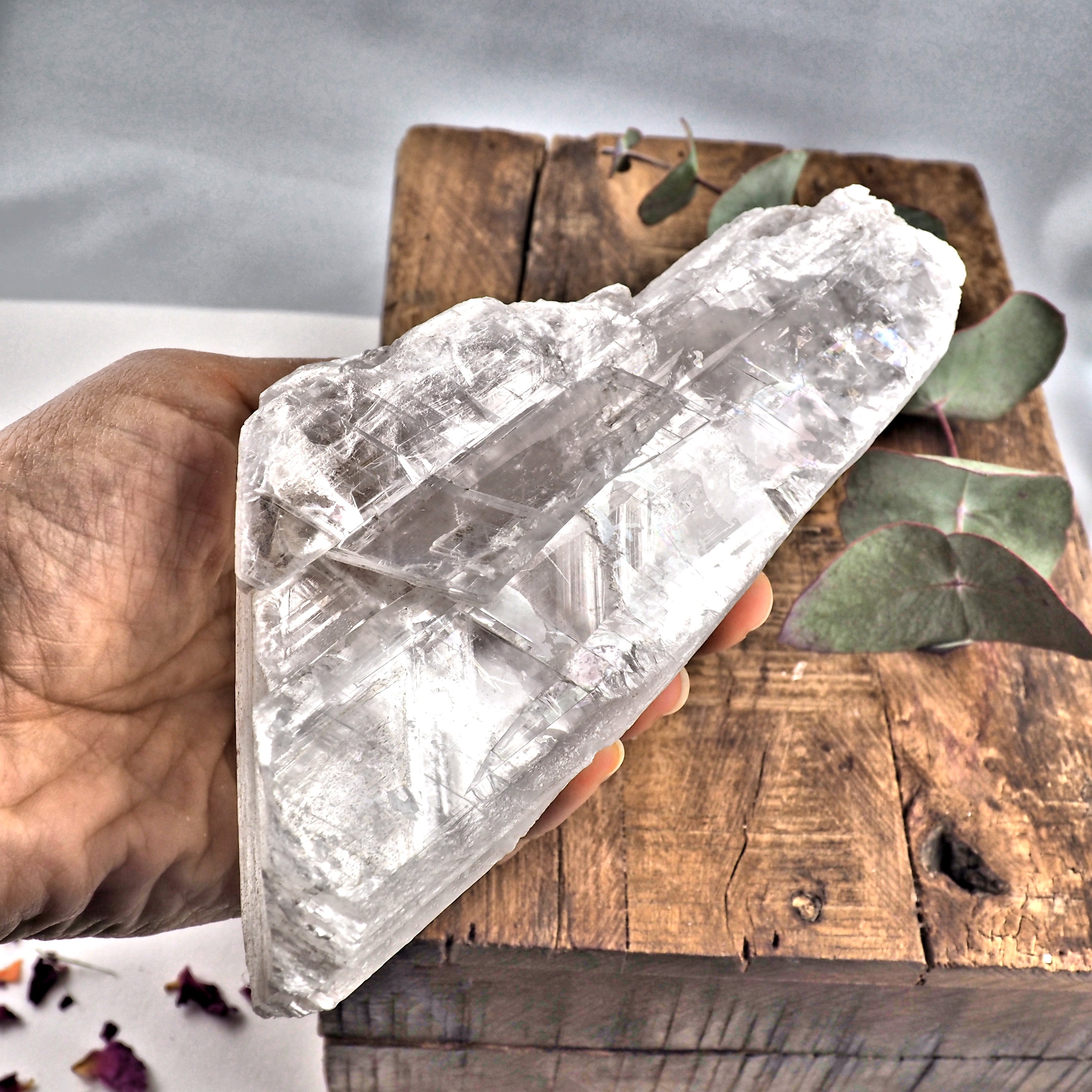 XL Chunky Optical Selenite Satin Spar Raw Specimen From Mexico - Earth Family Crystals