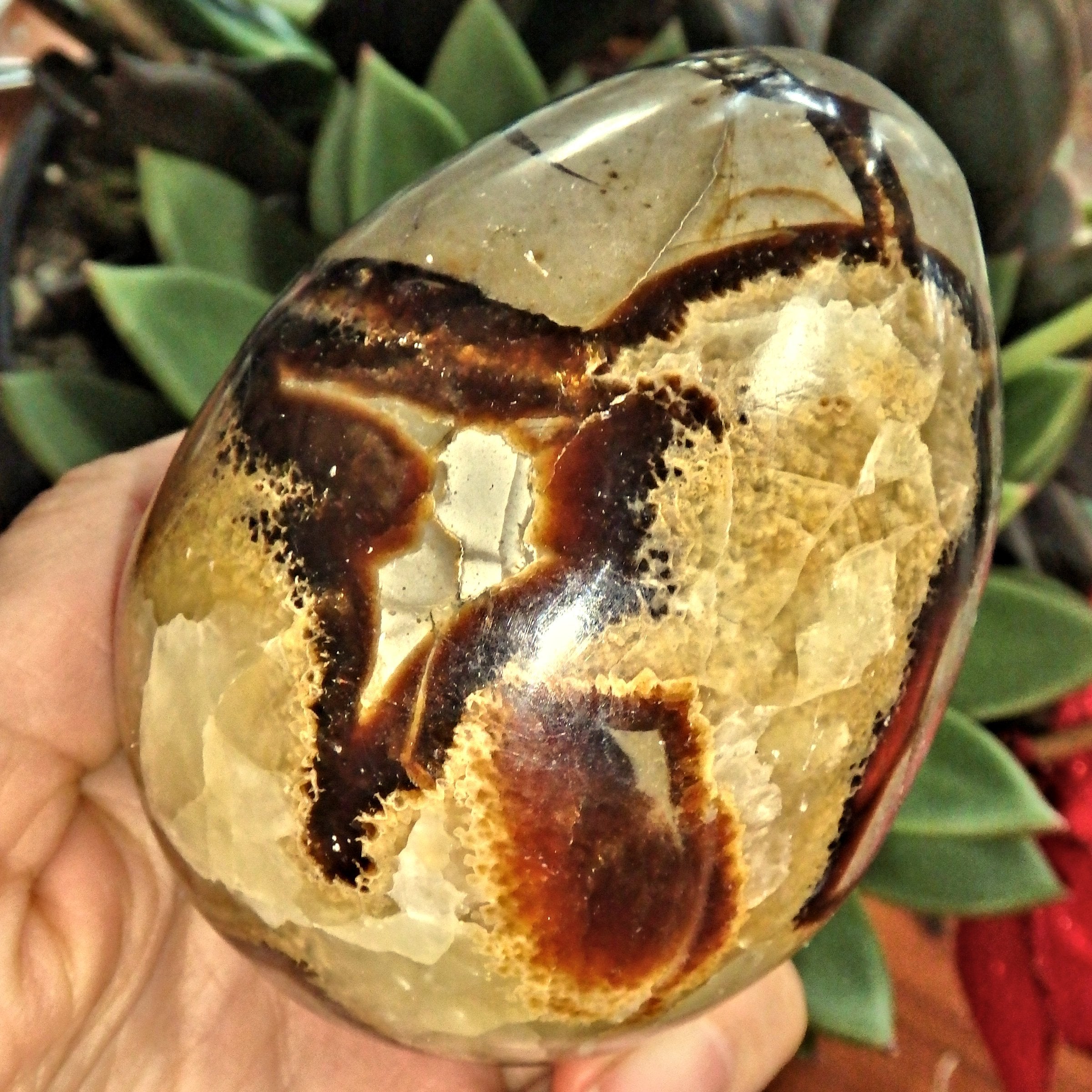 Fantastic Contrast Large Septarian Egg Carving From Madagascar1 - Earth Family Crystals