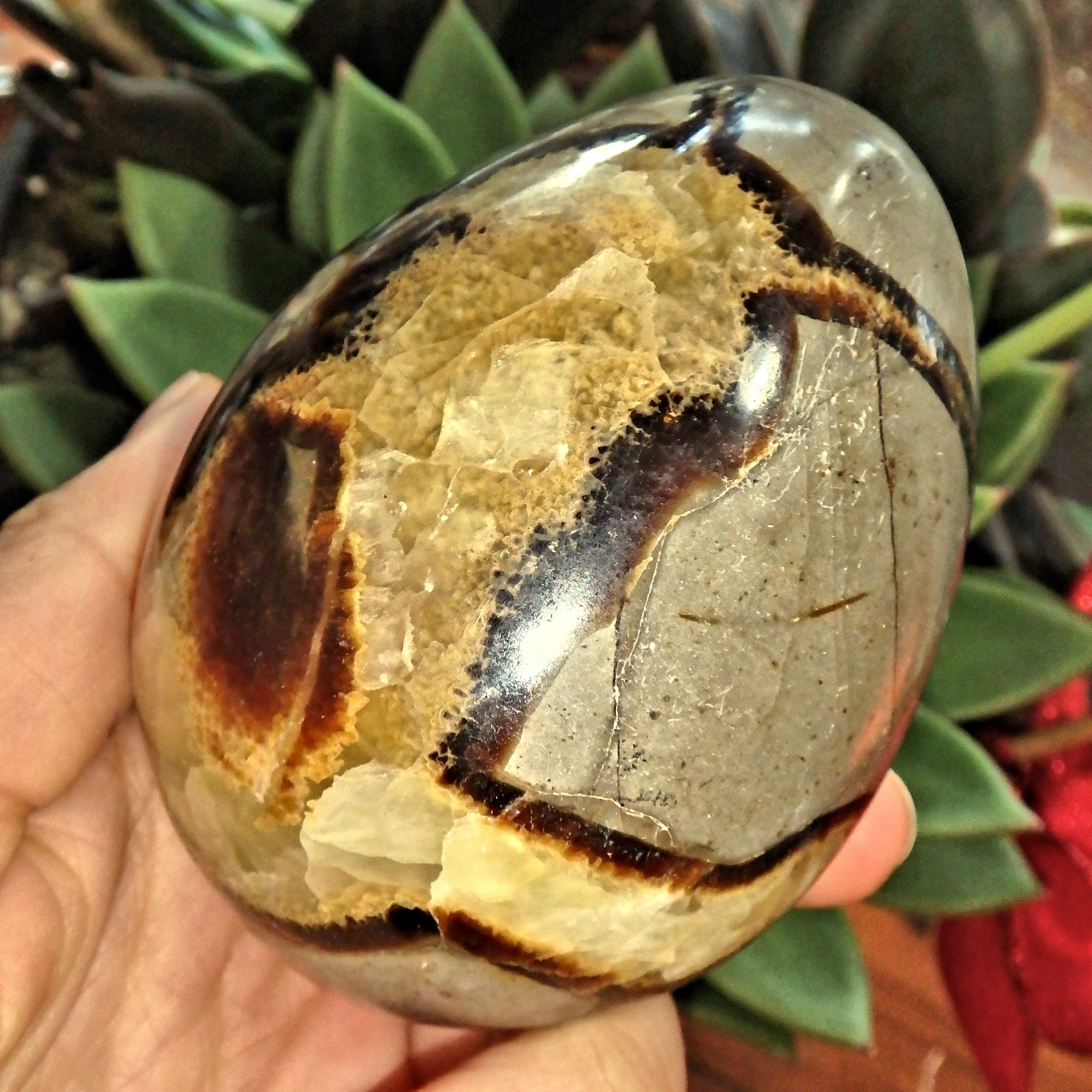 Fantastic Contrast Large Septarian Egg Carving From Madagascar1 - Earth Family Crystals