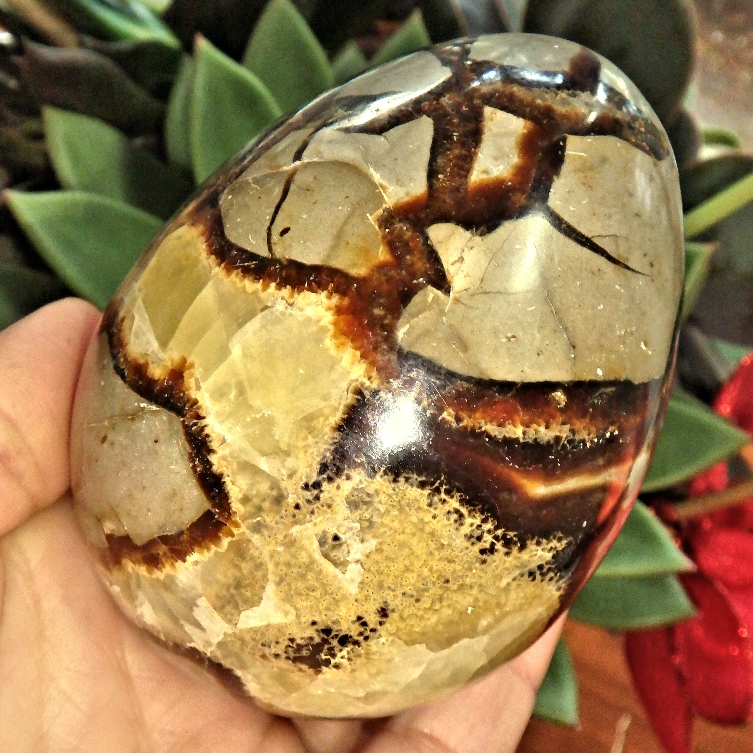 Fantastic Contrast Large Septarian Egg Carving From Madagascar1 - Earth Family Crystals