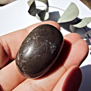 Rare Master Shamanite (Black Calcite) Polished Hand Held Specimen - Earth Family Crystals