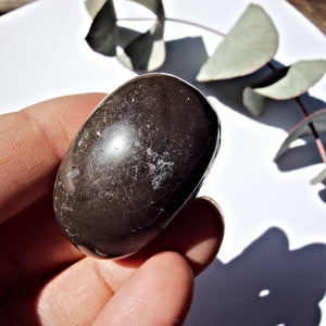 Rare Master Shamanite (Black Calcite) Polished Hand Held Specimen - Earth Family Crystals