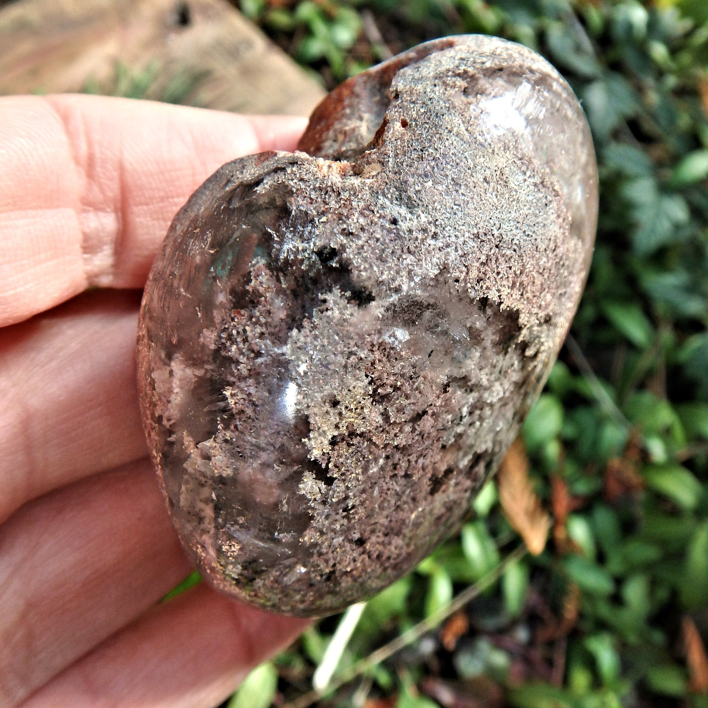 One of a Kind Shamanic Dream Stone Seer Quartz Partially Polished From Brazil