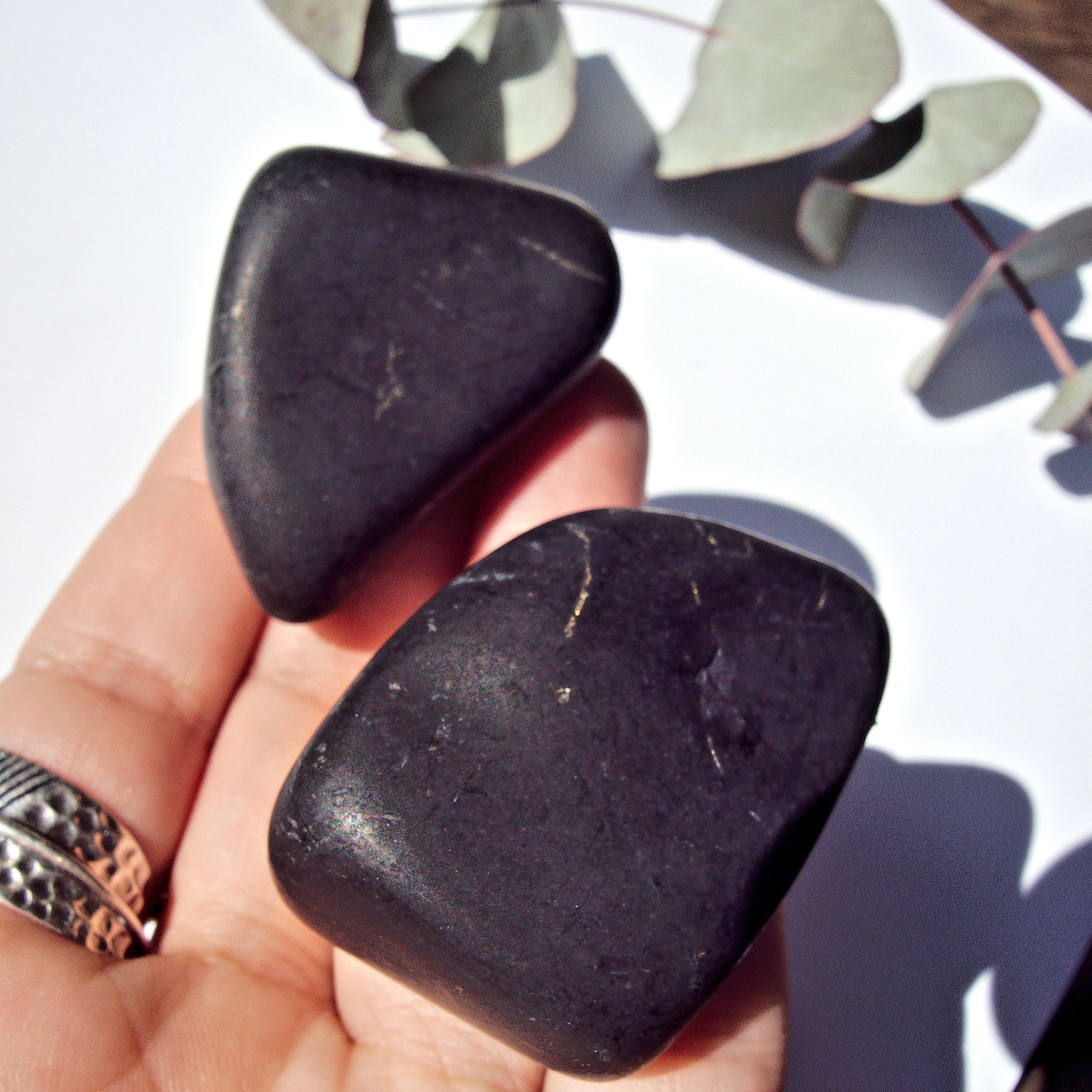 Set of 2 Unpolished Shungite Specimens