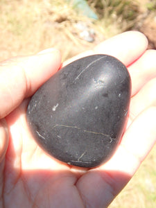 Unpolished EMF Protective Shungite Free Form Specimen 1 - Earth Family Crystals