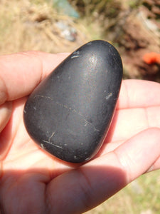 Unpolished EMF Protective Shungite Free Form Specimen 1 - Earth Family Crystals