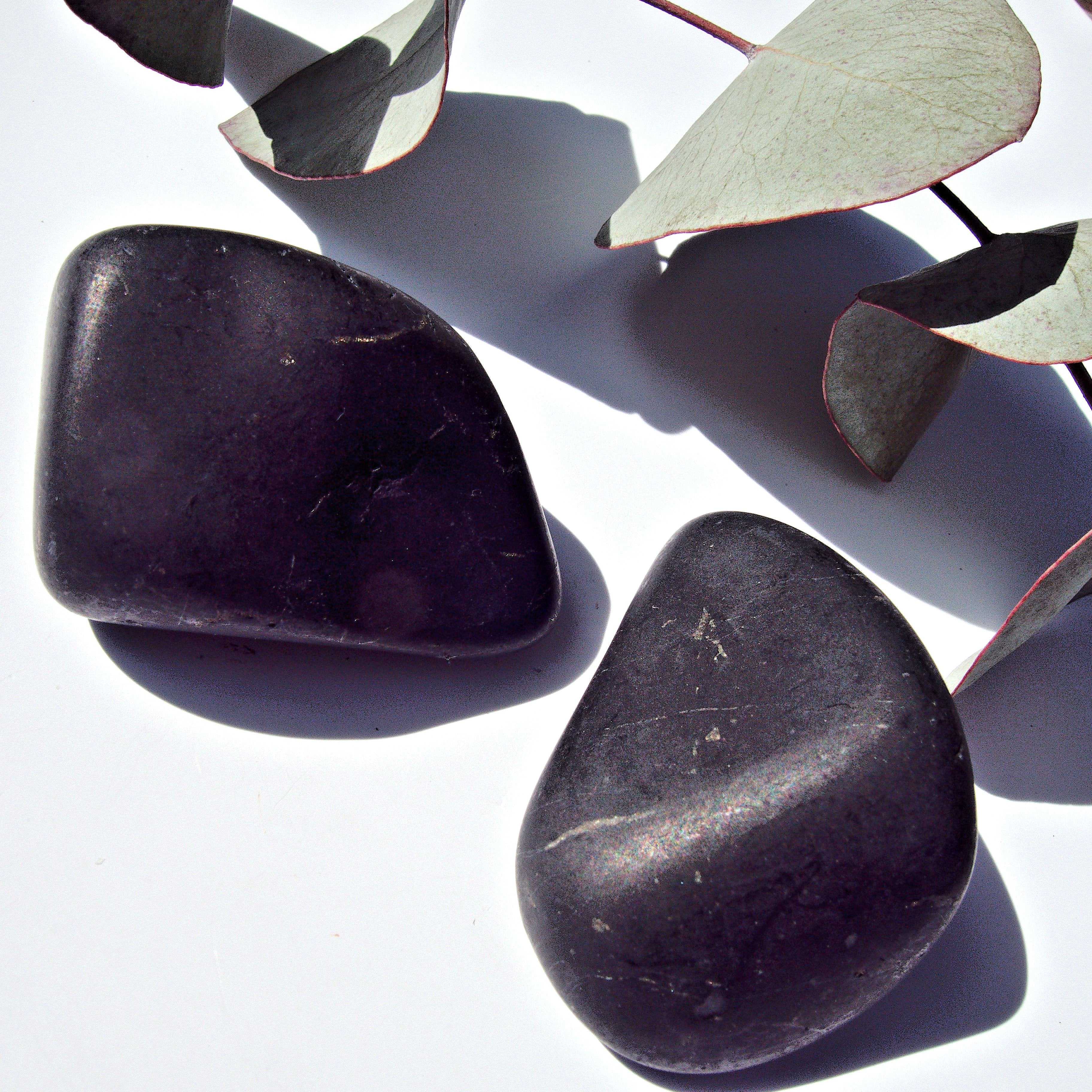 Set of 2 Unpolished Shungite Specimens