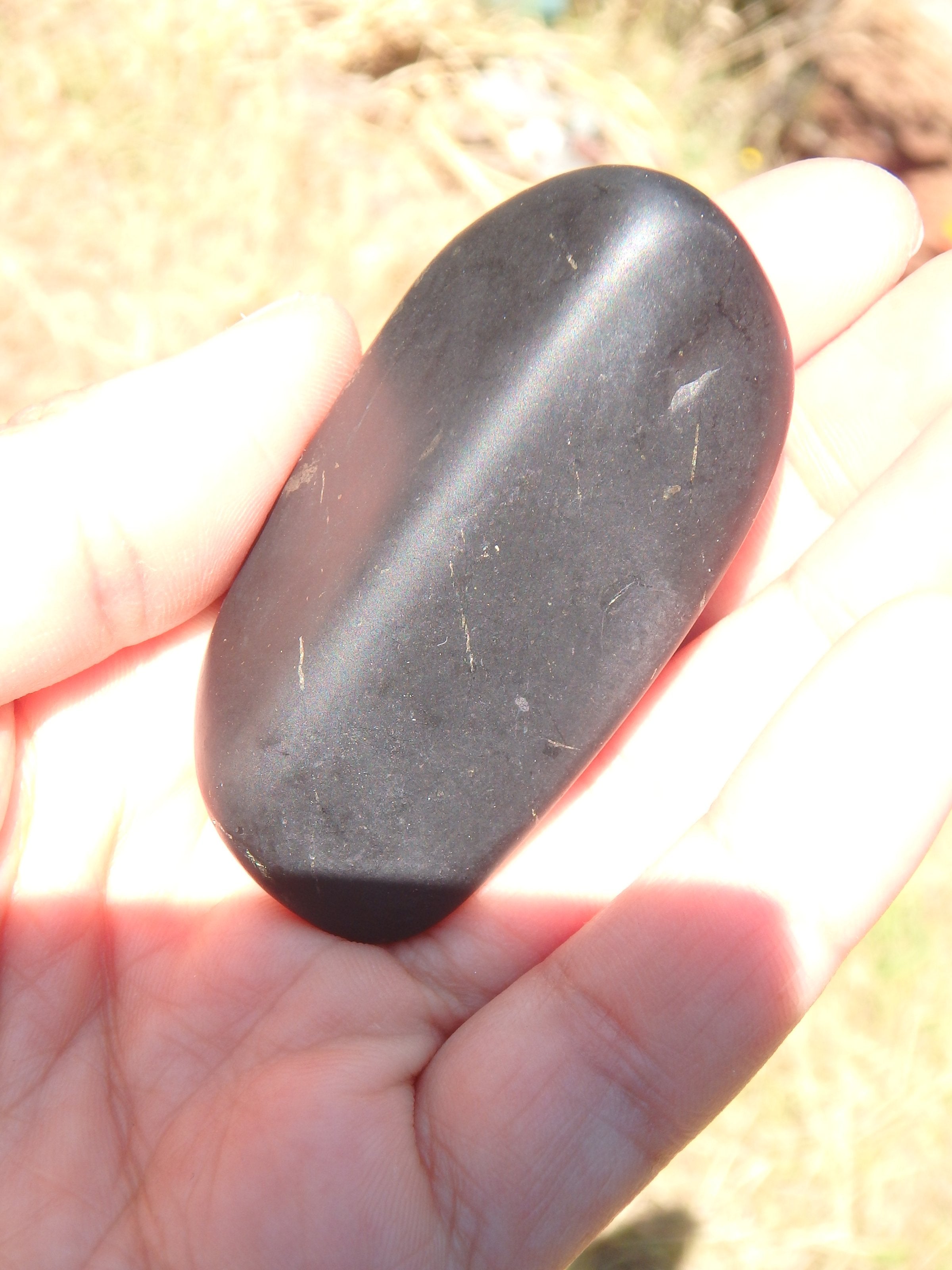 Unpolished EMF Protective Shungite Free Form Specimen 2 - Earth Family Crystals