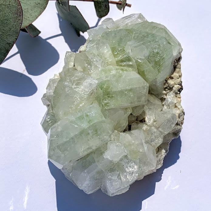 Chunky Green Apophyllite Crystals on Matrix From India - Earth Family Crystals
