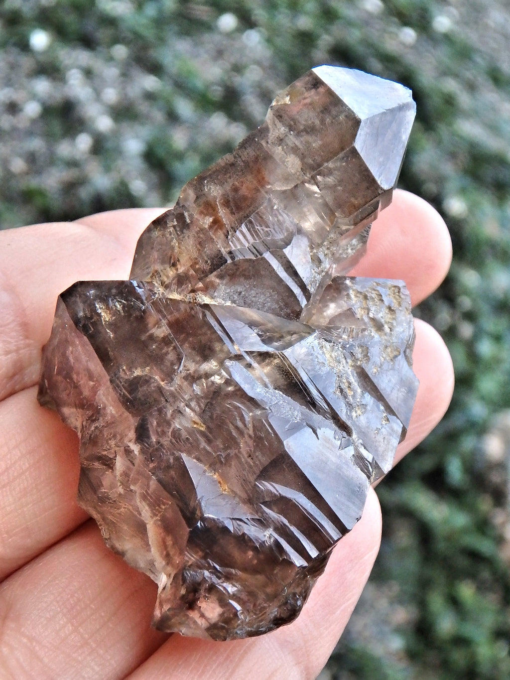 Elestial Smoky Quartz Natural Specimen From Namibia - Earth Family Crystals