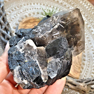 Synergy Smoky Quartz & Black Tourmaline With Self Healing & White Rutile Flower Burst - Earth Family Crystals