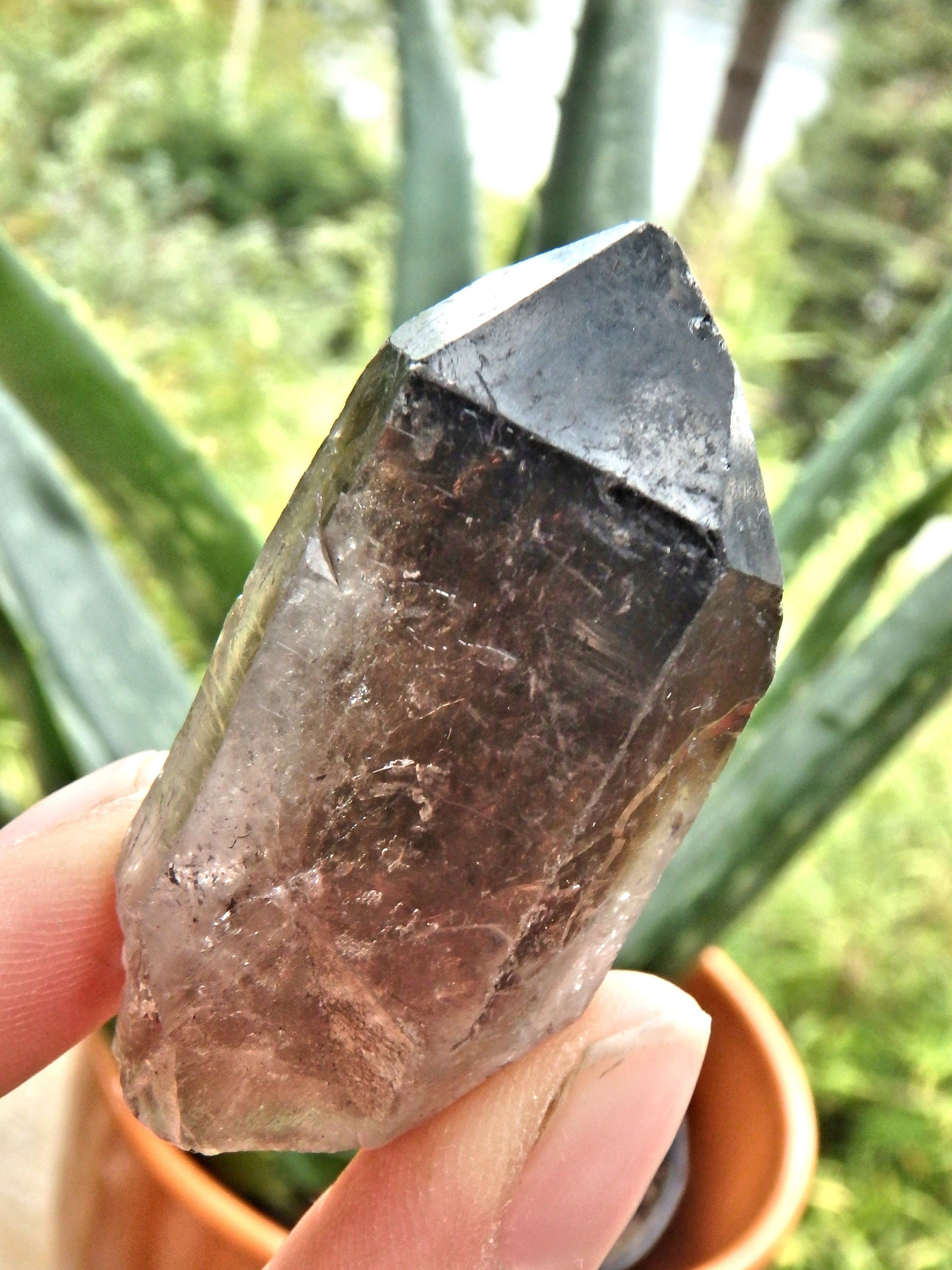 Deep Brown Smoky Quartz Natural Point From Brazil1 - Earth Family Crystals