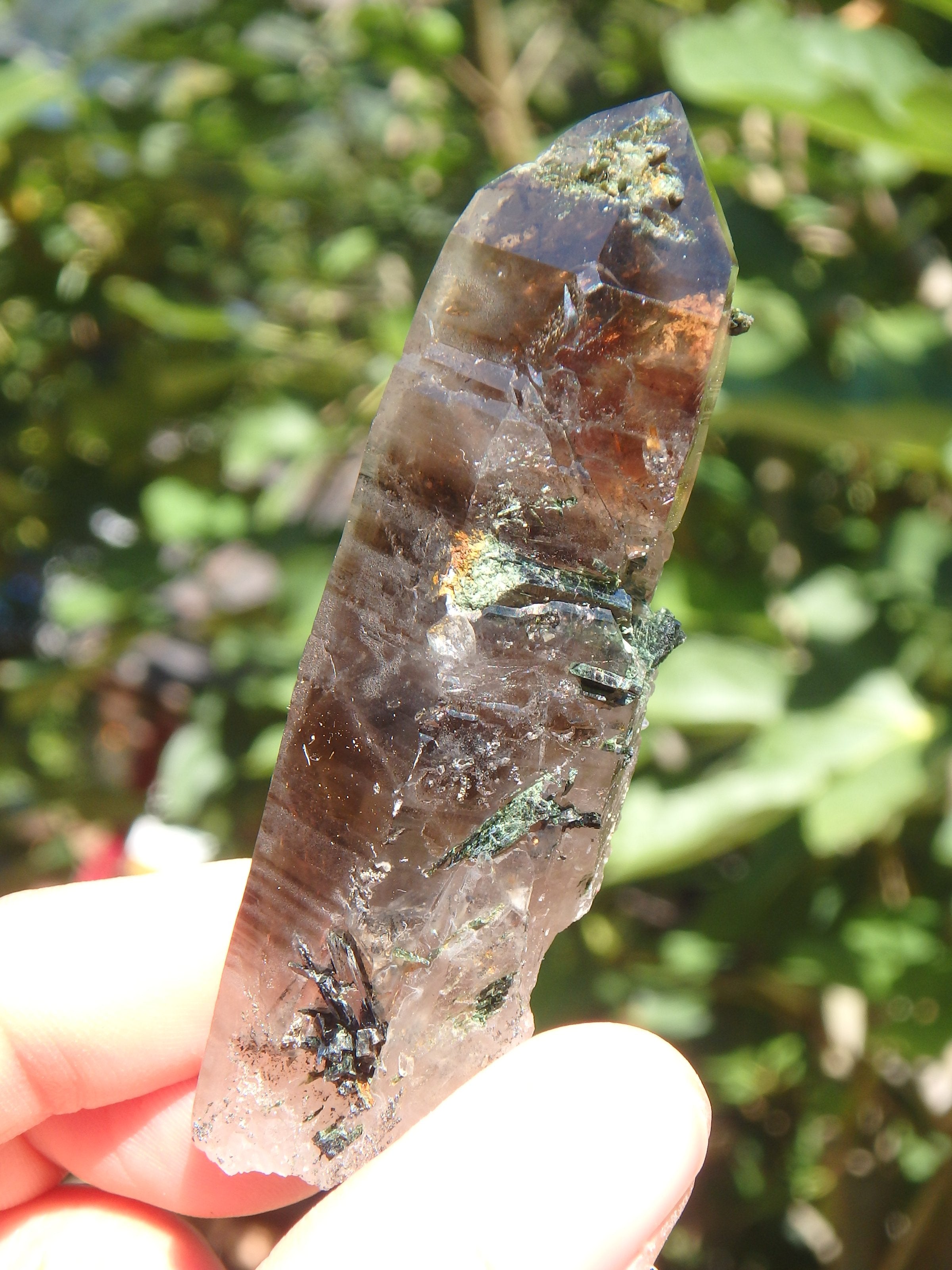 Elestial Smoky Quartz Point With Aegirine Inclusions From South Africa - Earth Family Crystals