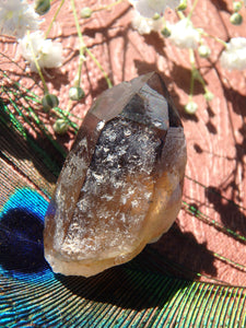 Twin Flame Smoky Quartz Dainty Specimen With Phantoms - Earth Family Crystals