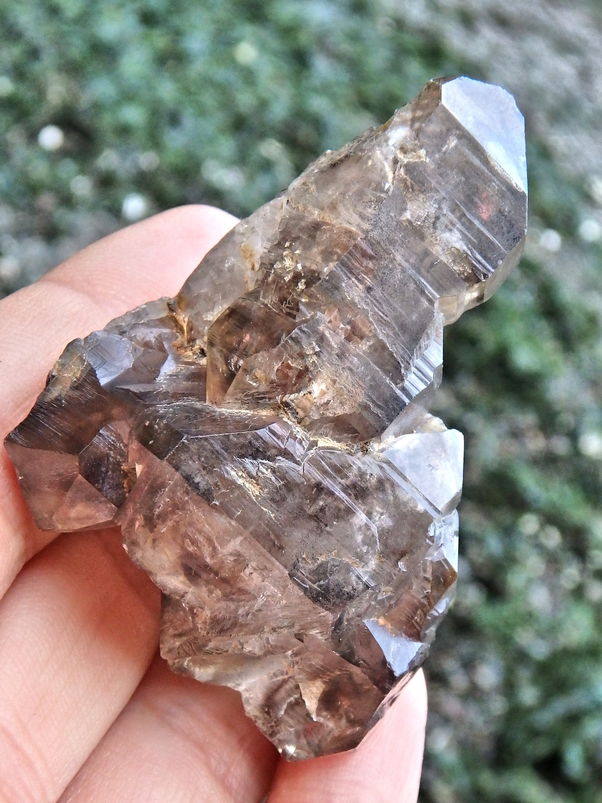 Elestial Smoky Quartz Natural Specimen From Namibia - Earth Family Crystals