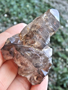 Elestial Smoky Quartz Natural Specimen From Namibia - Earth Family Crystals