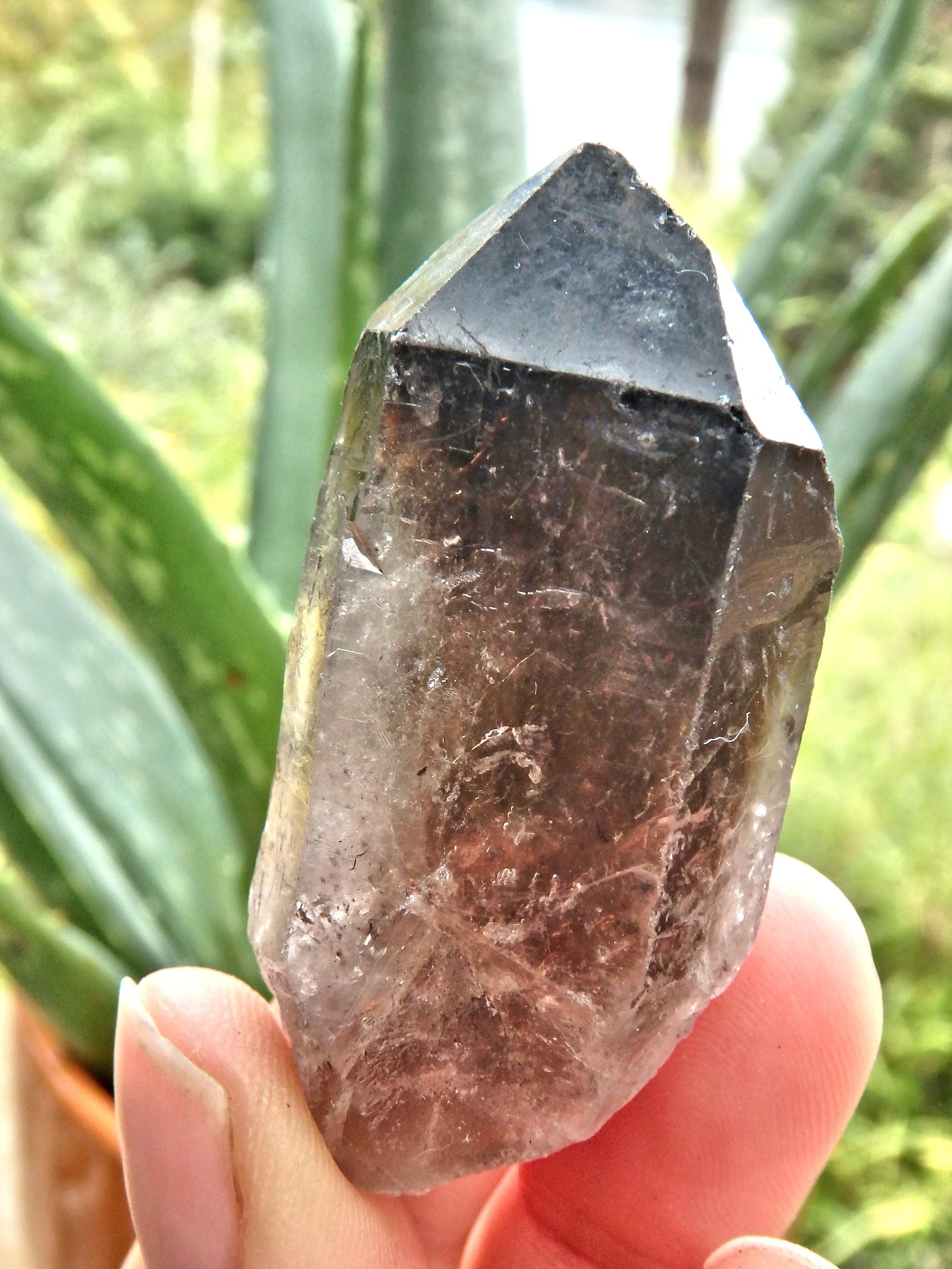 Deep Brown Smoky Quartz Natural Point From Brazil1 - Earth Family Crystals