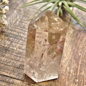 Rutilated Smoky Quartz Standing Generator From Brazil