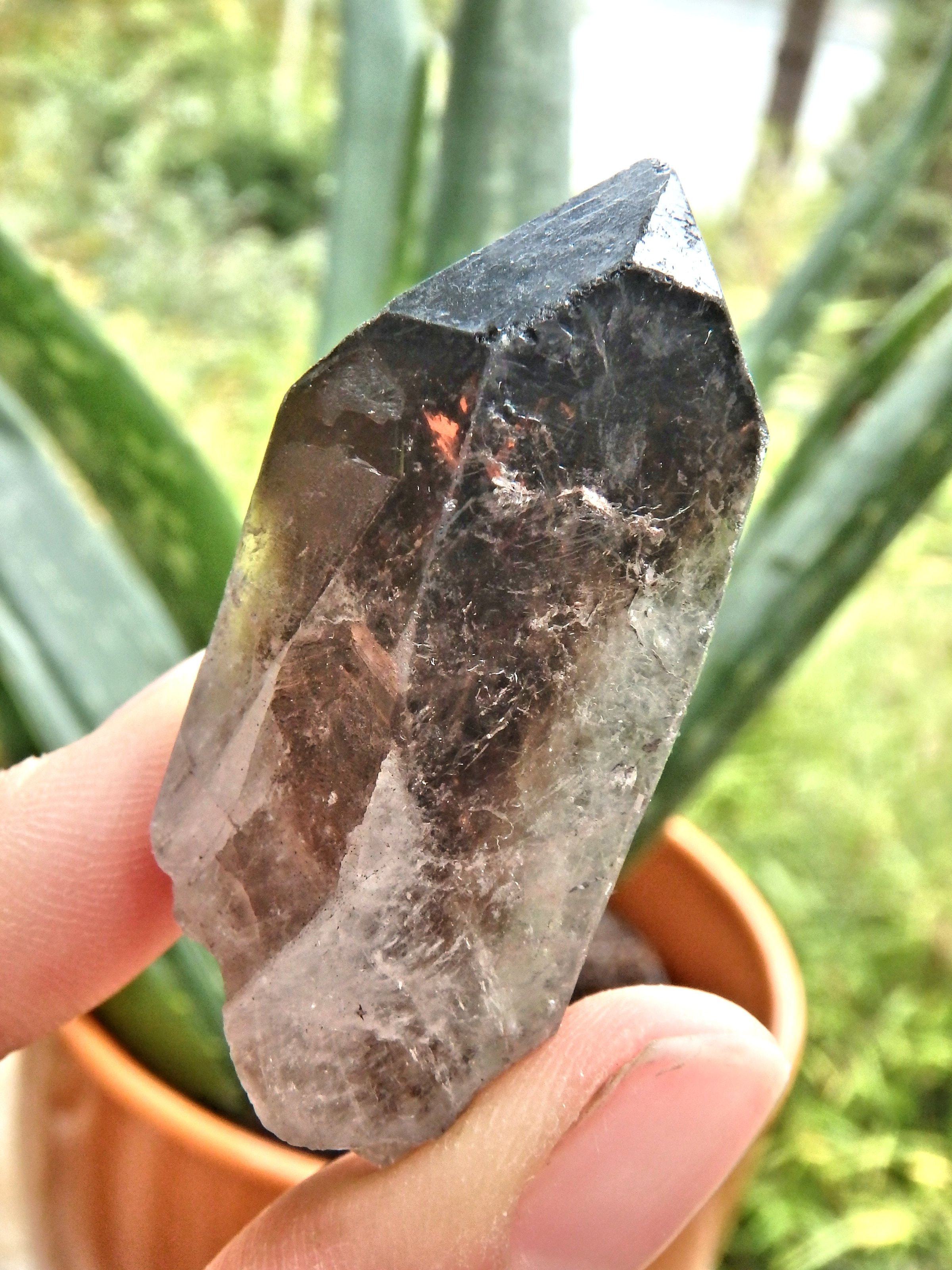 Deep Brown Smoky Quartz Natural Point From Brazil1 - Earth Family Crystals