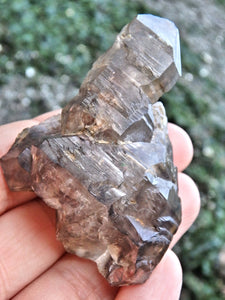 Elestial Smoky Quartz Natural Specimen From Namibia - Earth Family Crystals