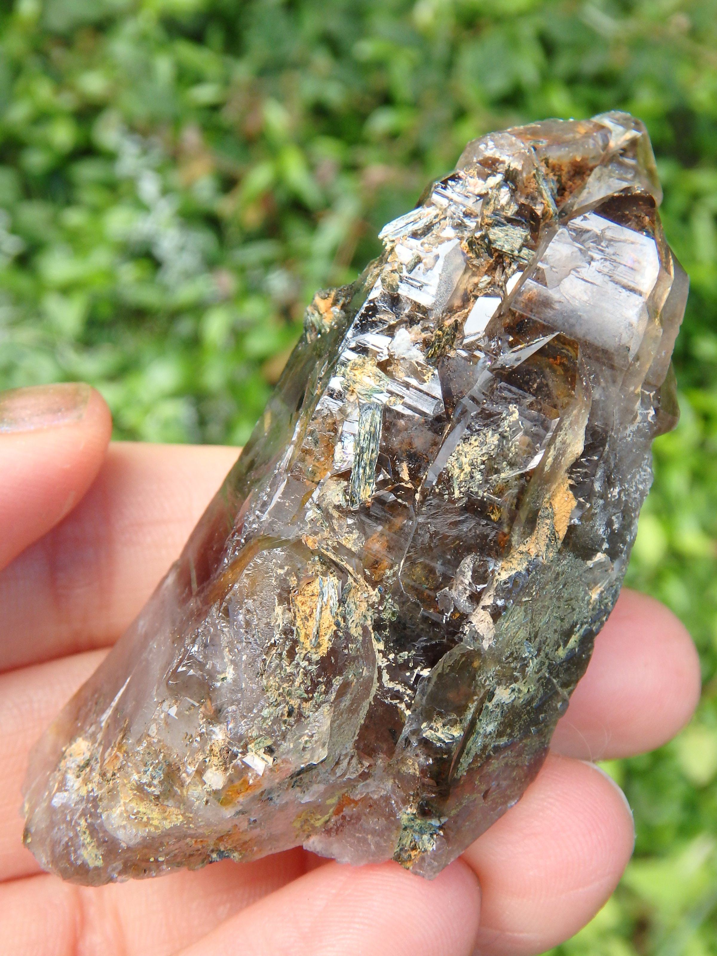 Brilliant Elestial Smoky Quartz With Forest Green Epidote Blades Nestled Inside - Earth Family Crystals