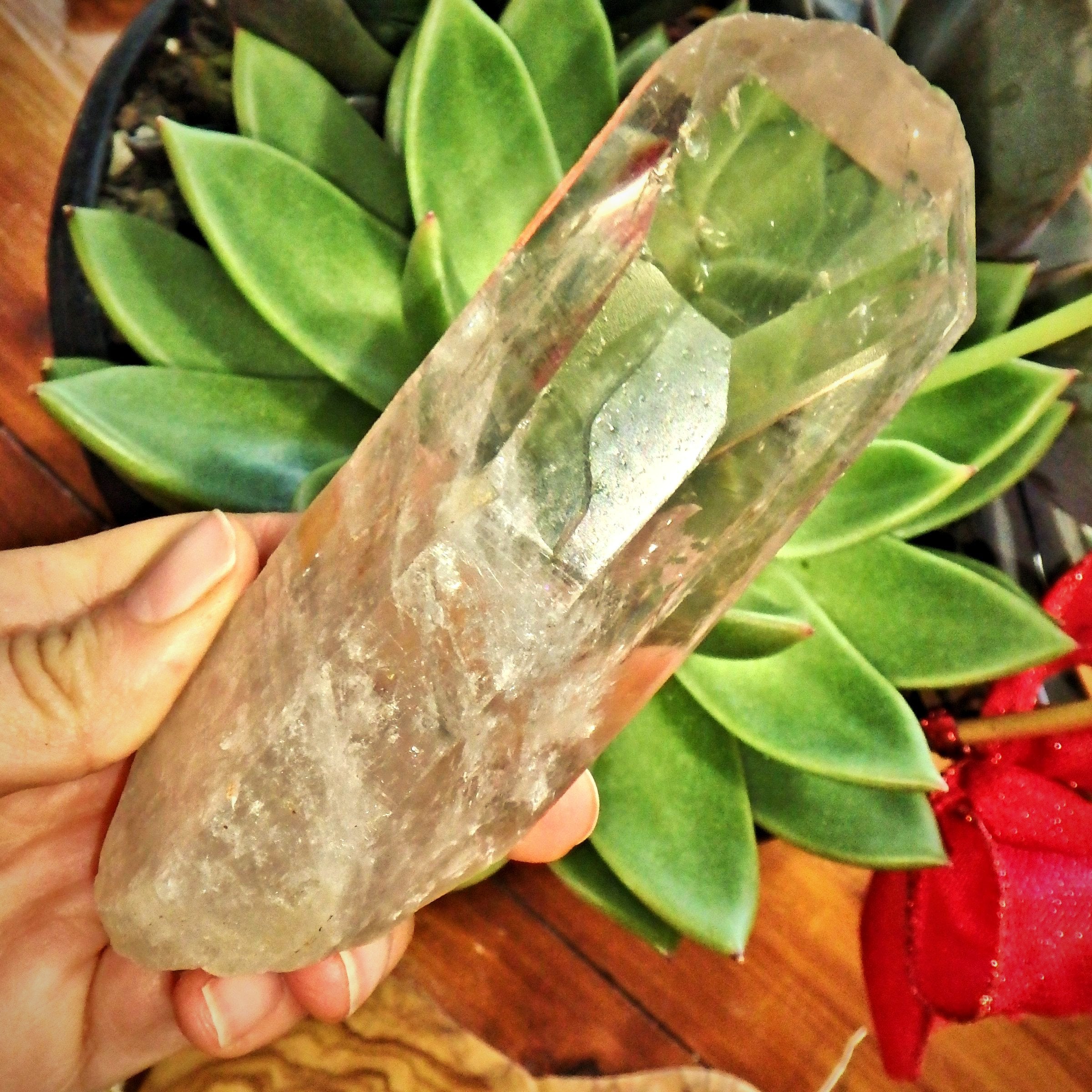 Fantastic Rainbows Optical Smoky Quartz Large Point From Brazil - Earth Family Crystals