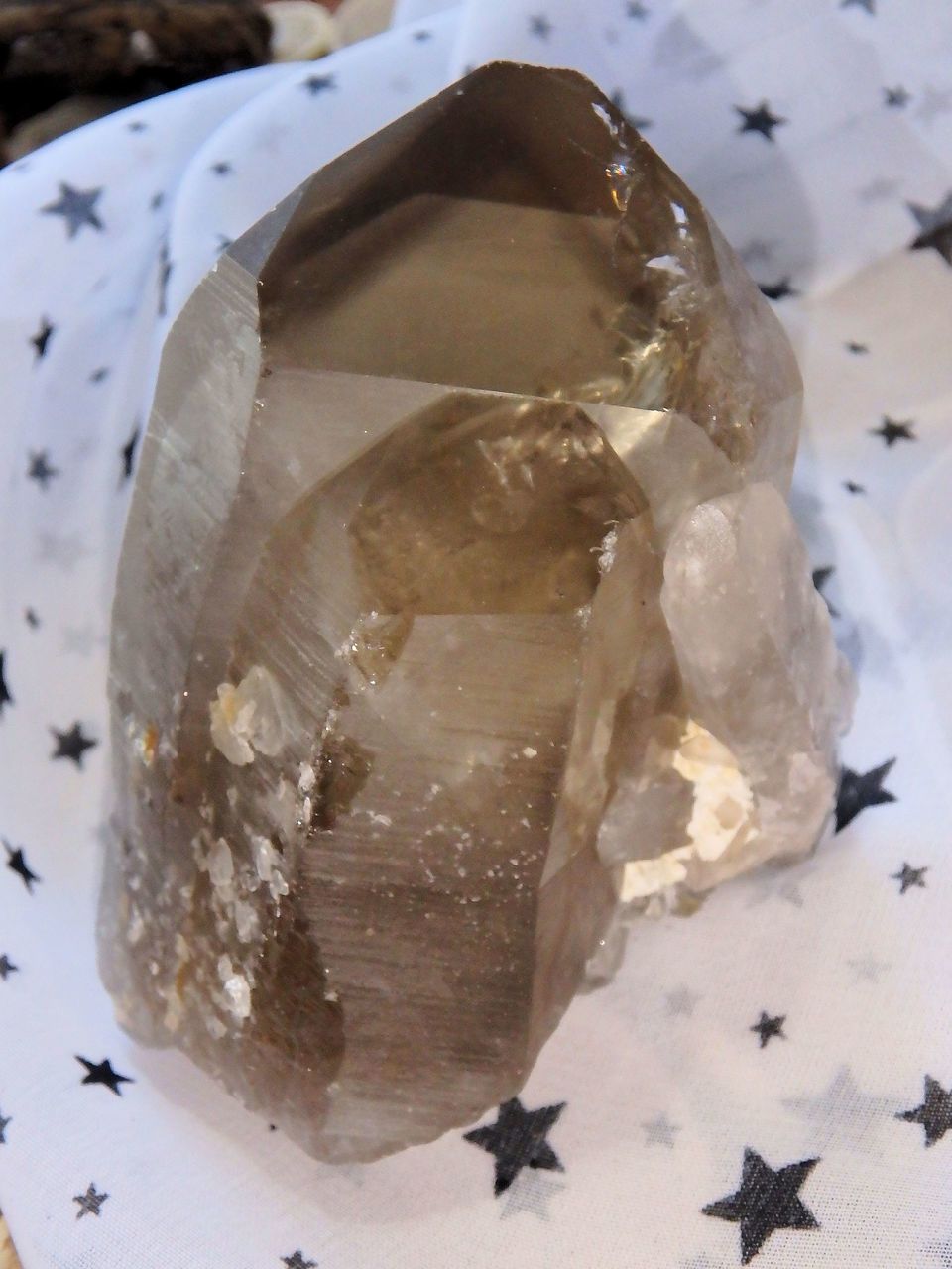Phantom Included Natural Smoky Quartz Multi Point Standing Specimen - Earth Family Crystals