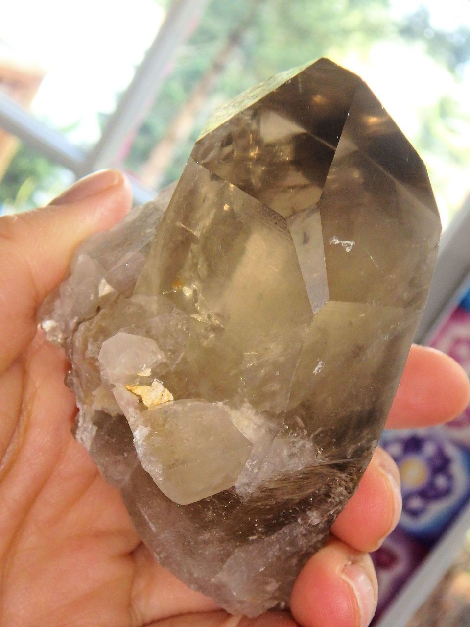 Phantom Included Natural Smoky Quartz Multi Point Standing Specimen - Earth Family Crystals