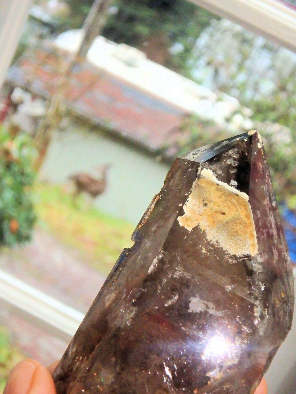 Brilliant Self Healed Natural Smoky Quartz With Attached Baby Specimen From Malawi - Earth Family Crystals